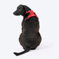 HUFT Xplorers Harness For Dog - Red_02