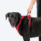 HUFT Xplorers Harness For Dog - Red_04