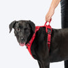 HUFT Xplorers Harness For Dog - Red_04