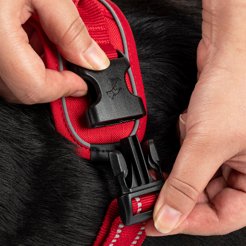 HUFT Xplorers Harness For Dog - Red_06
