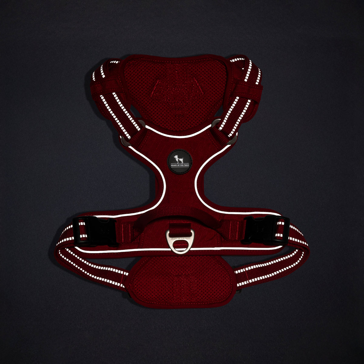 HUFT_Xplorers_Harness_For_Dog_-_Red_11