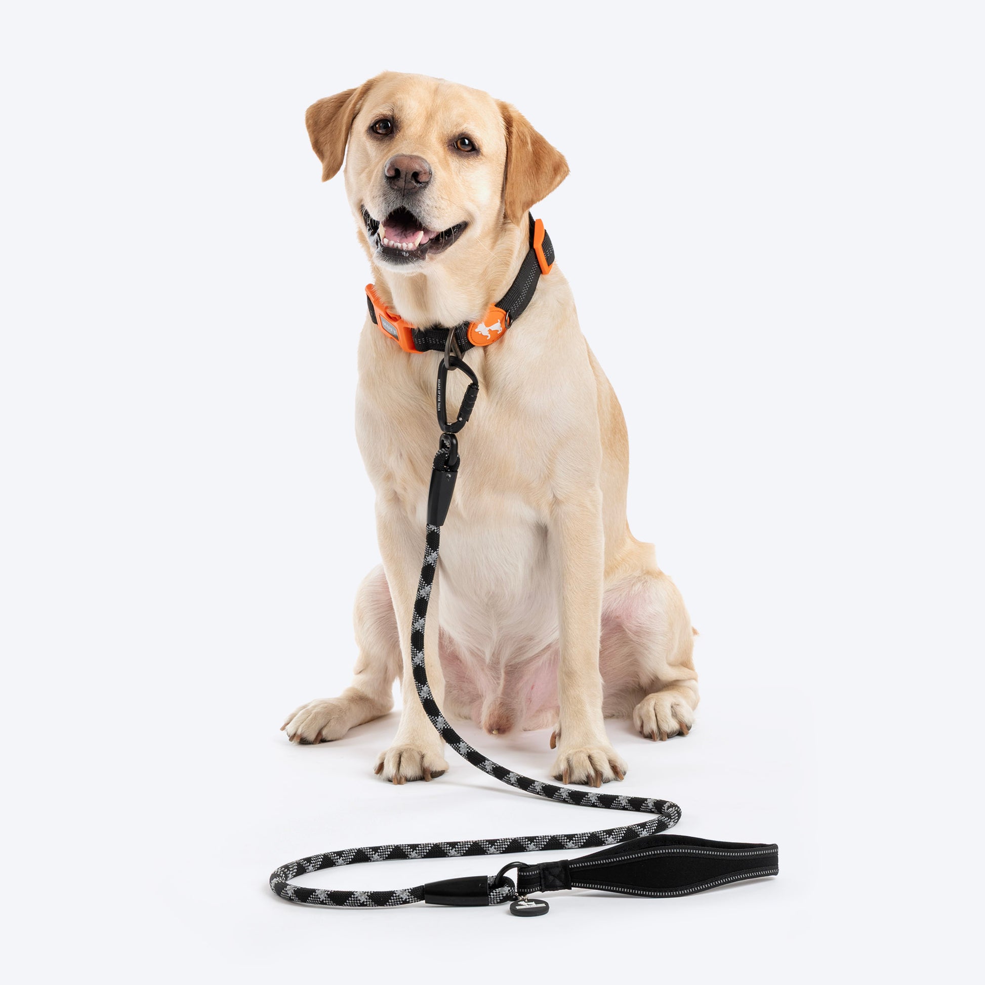 HUFT Xplorers Rope Leash With Carabiner For Dog - Black - 5 ft_02