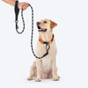 HUFT Xplorers Rope Leash With Carabiner For Dog - Black - 5 ft_03