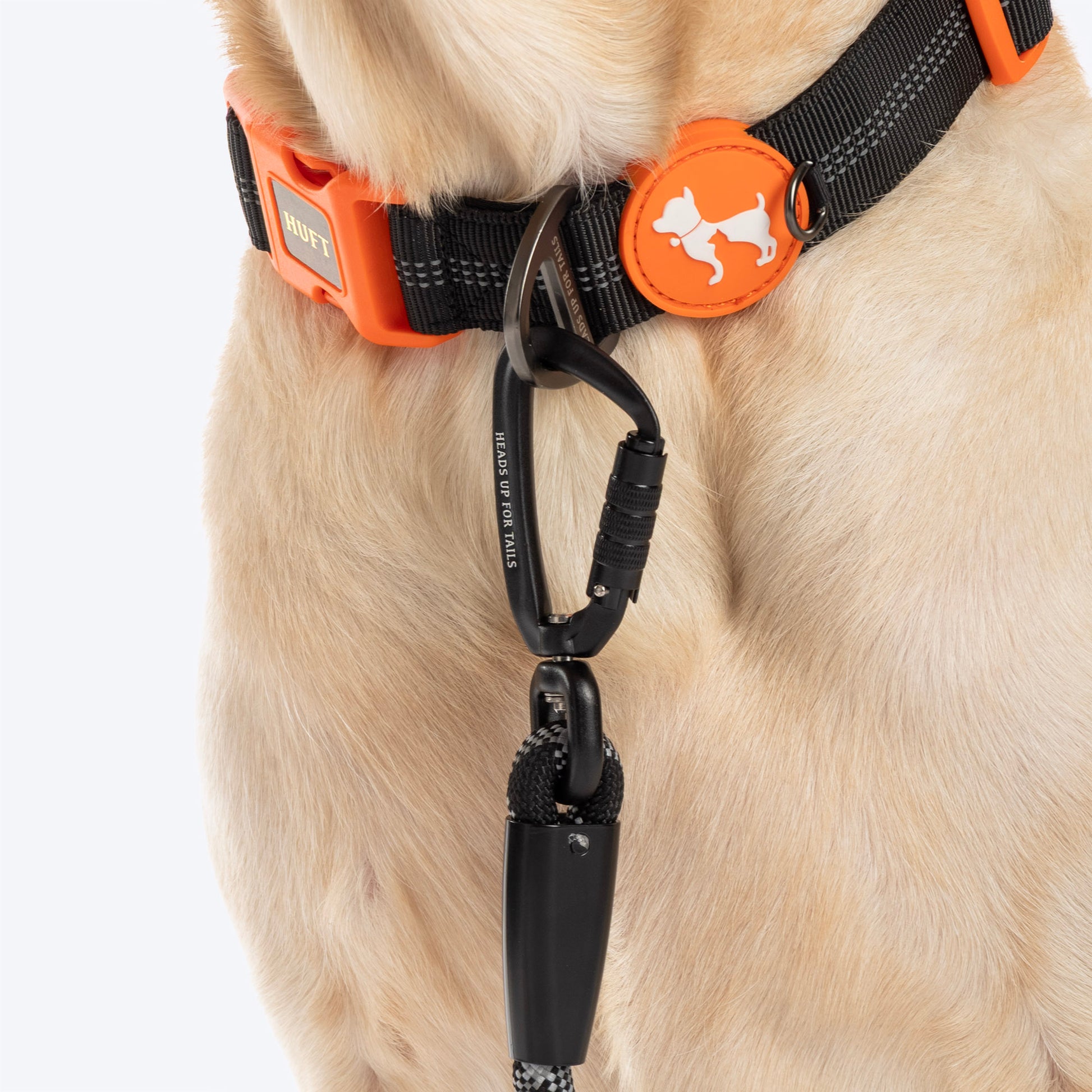 HUFT Xplorers Rope Leash With Carabiner For Dog - Black - 5 ft_04