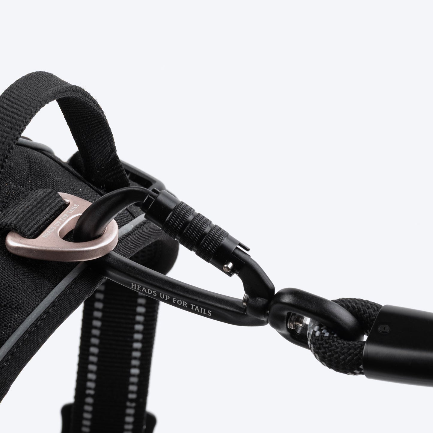 HUFT Xplorers Rope Leash With Carabiner For Dog - Black - 5 ft_10