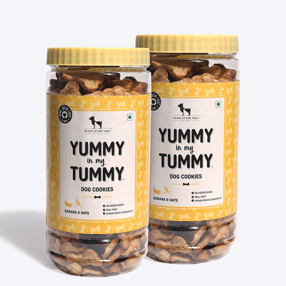 HUFT Yummy In My Tummy Banana & Oats Gluten-Free Dog Biscuits Vegetarian, Wheat-Free Treats for Dogs - Heads Up For Tails