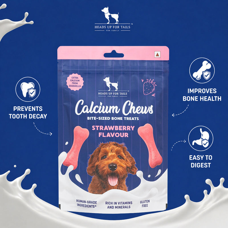 HUIFT Dental Care Combo For Dog - Heads Up For Tails