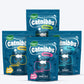 Happi Skippi Catnibbs Healthy & Chewy Delight Combo For Cat - (4 x 60g)_01