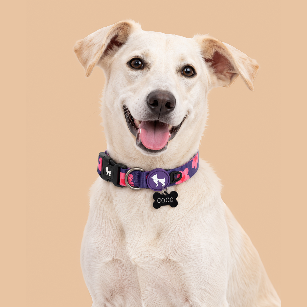 HUFT Midnight Meadow Collar For Dog - Purple