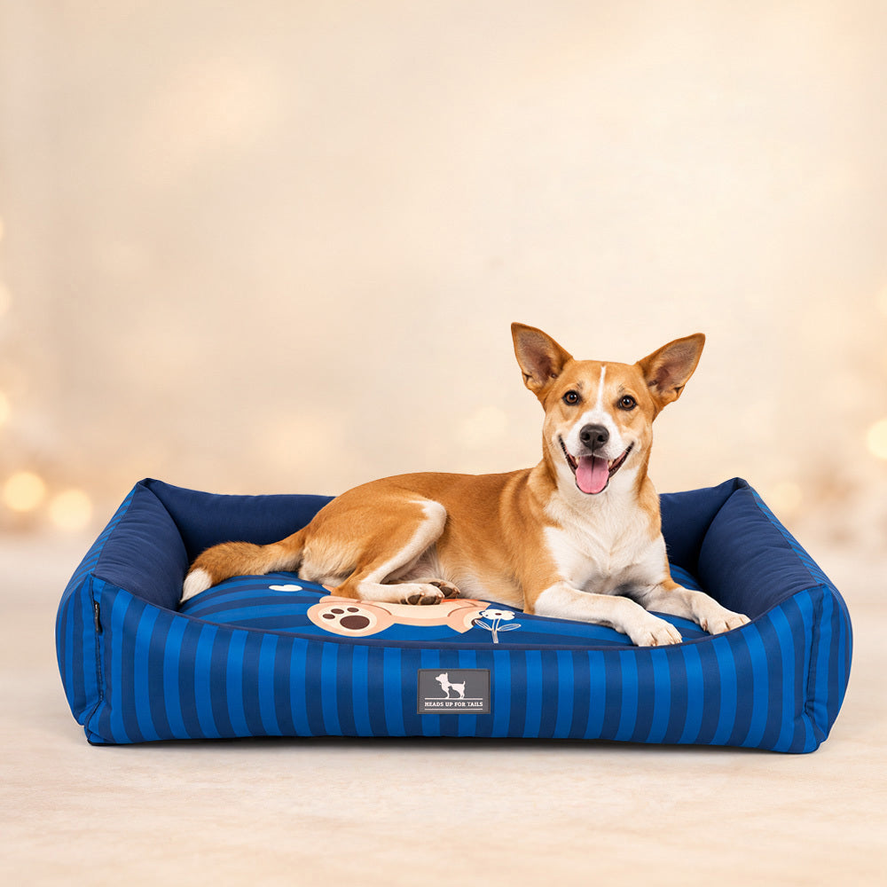 HUFT Bear Hug Lounger Bed For Dog - Blue