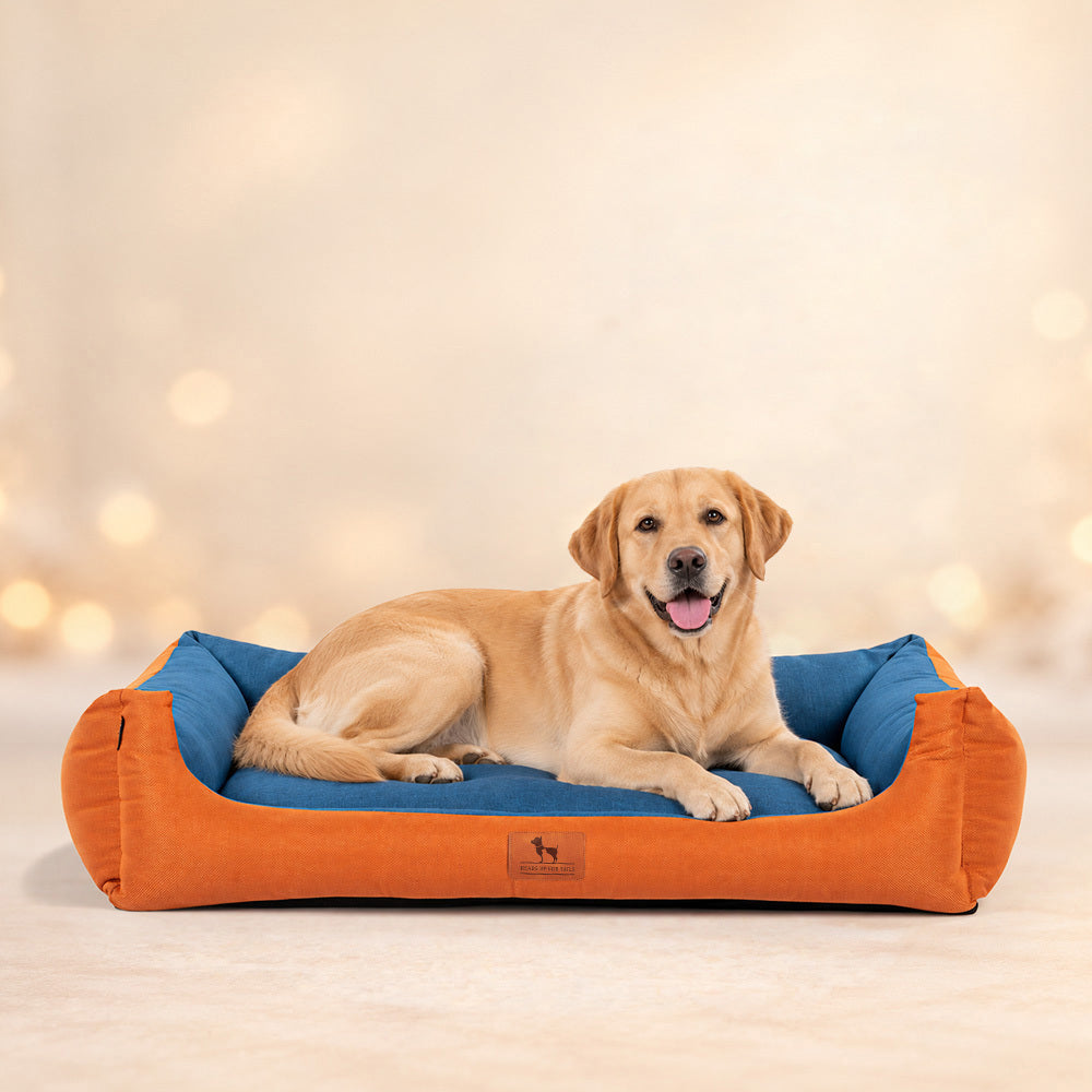 HUFT EasyStep Herring Lounger Bed For Dog - Orange & Blue - Heads Up For Tails