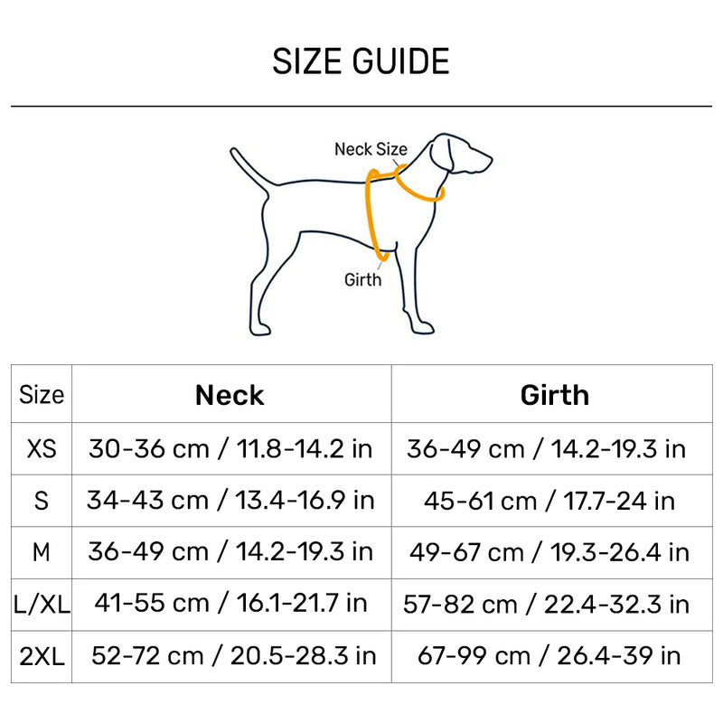 Dash Dog Radiant Blaze Easy Walk Harness For Dog - Orange - Heads Up For Tails