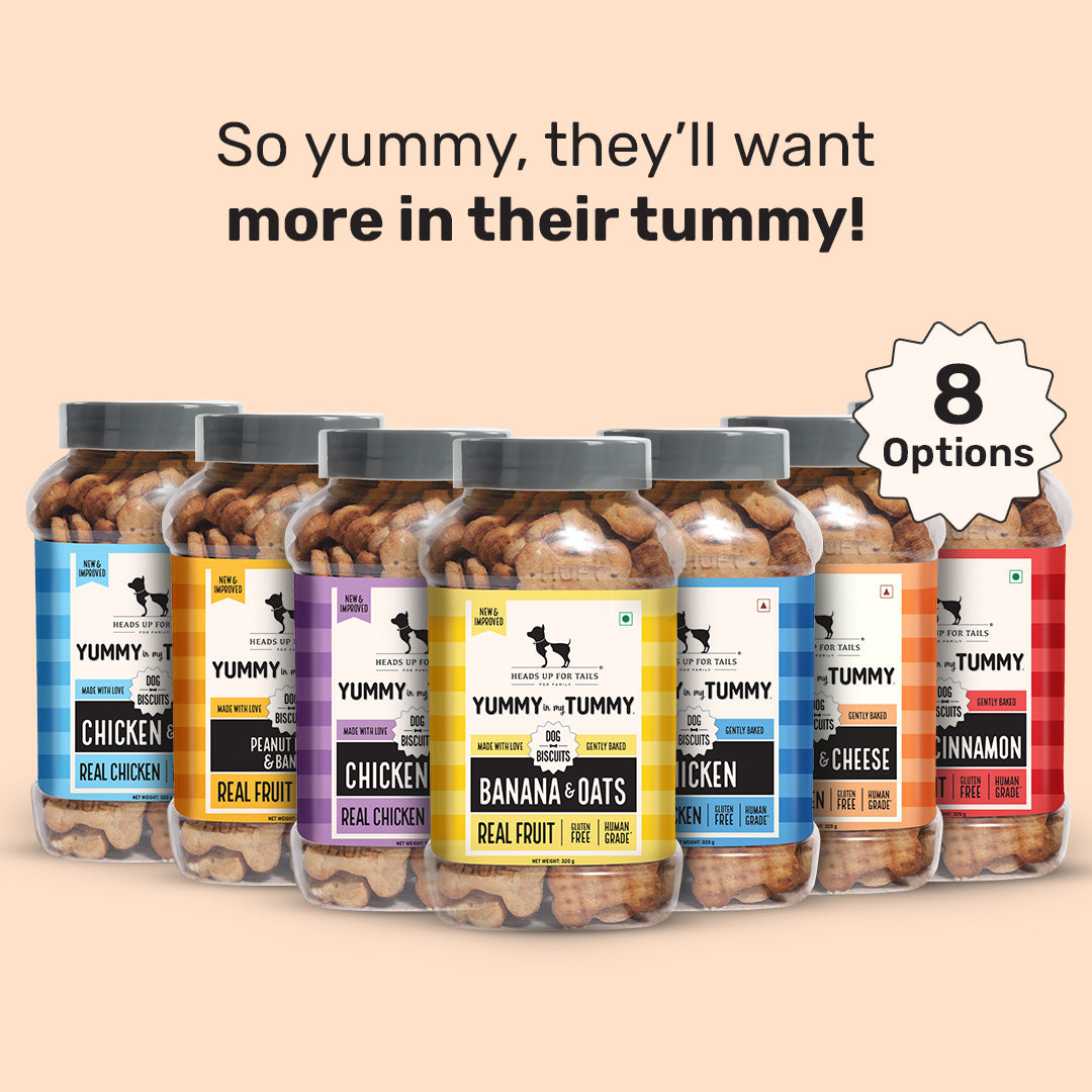 Heads Up for Tails Yummy Tummy Dog Biscuits, 8 options including Chicken & Oats, gluten-free, real fruit ingredients