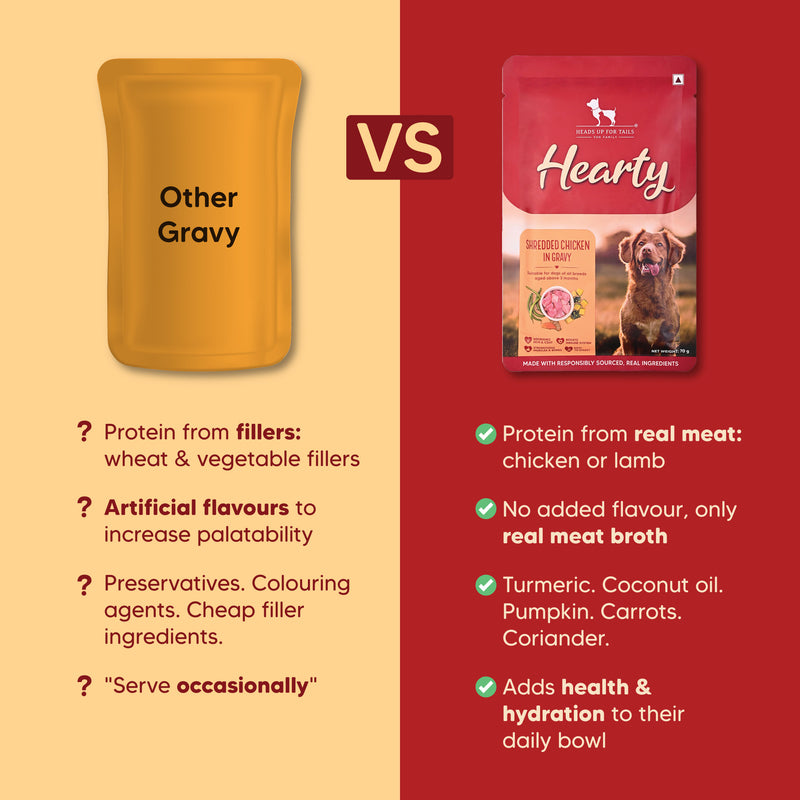 Hearty Shredded Chicken & Pumpkin in Gravy Wet Dog Food 70g