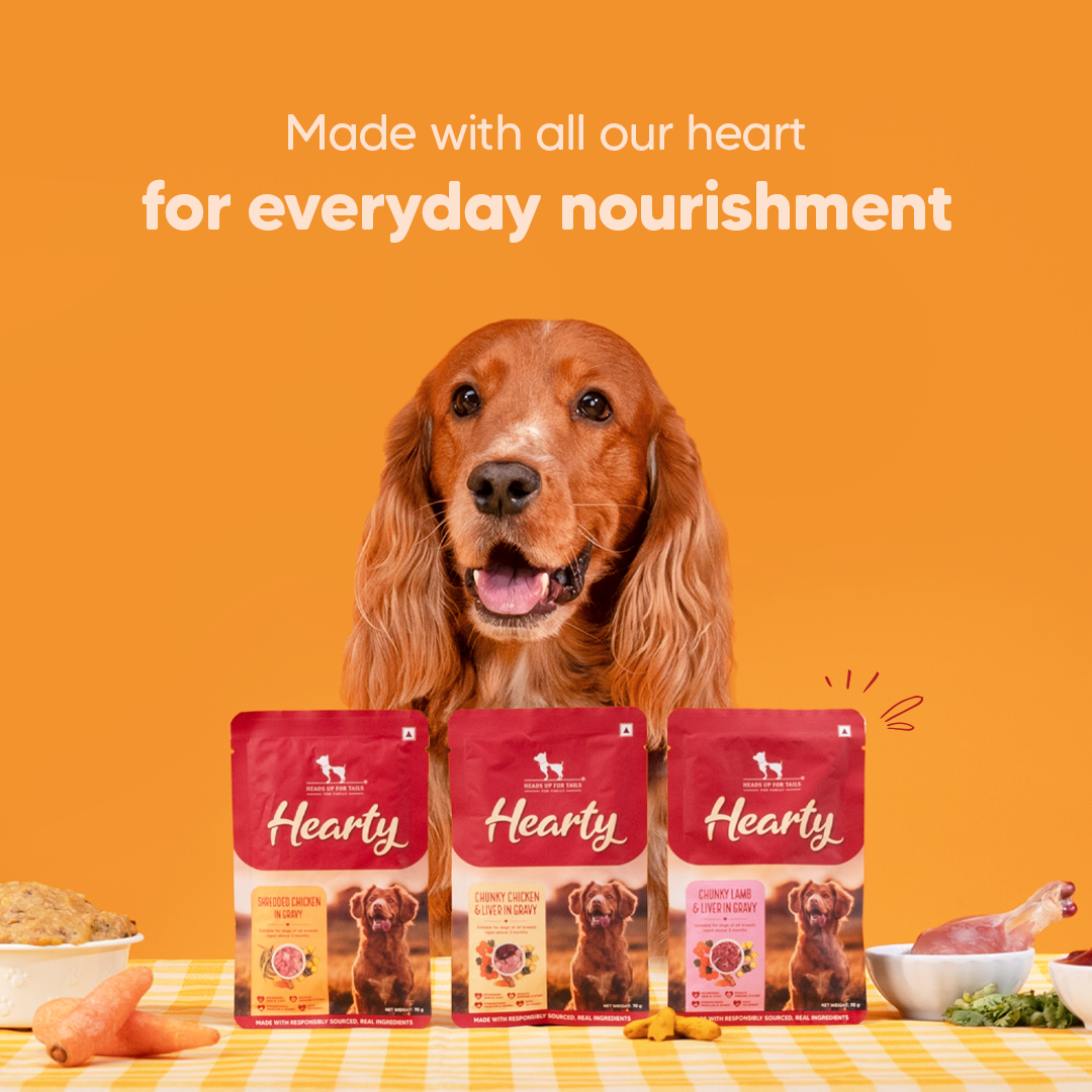 Hearty Chunky Chicken & Liver In Gravy Dog Wet Food - 70 g