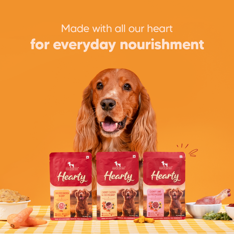 Hearty Trio: Chicken, Lamb & Pumpkin Delight in Gravy Combo For Dog - 210g (3 x 70g) - Heads Up For Tails