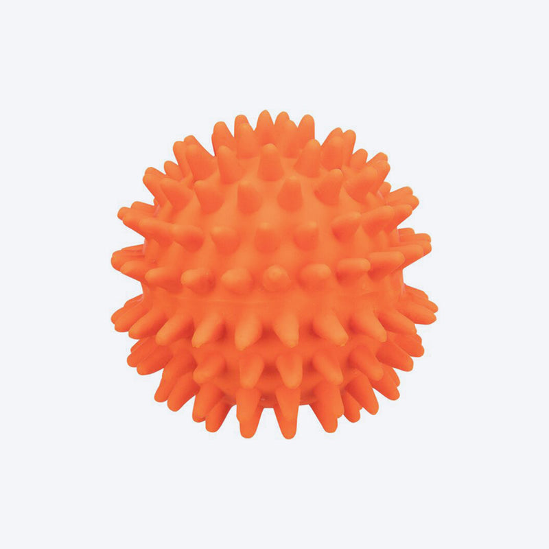 Trixie Hedgehog Ball Latex Toy For Dogs - Heads Up For Tails