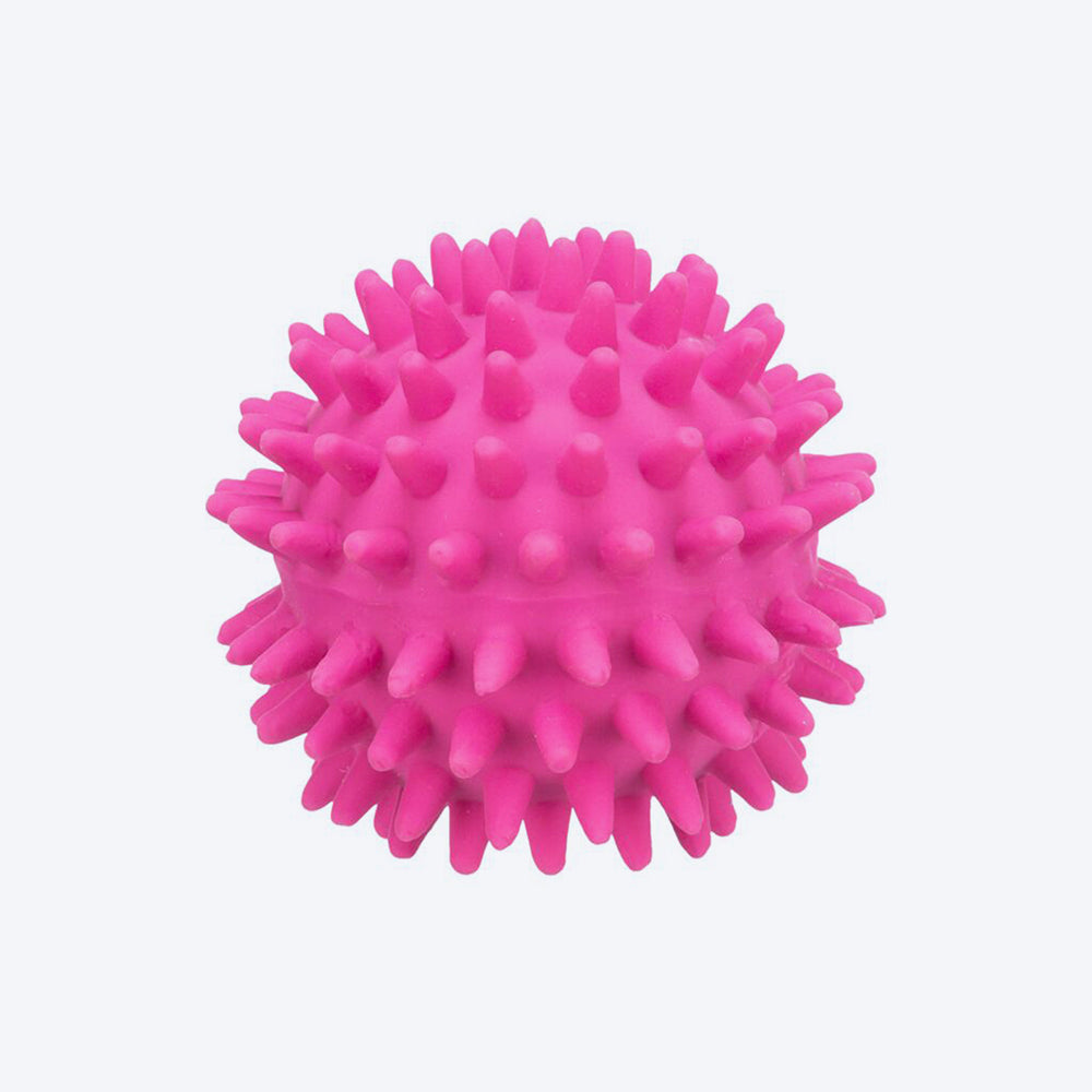 Trixie Hedgehog Ball Latex Toy For Dogs - Heads Up For Tails