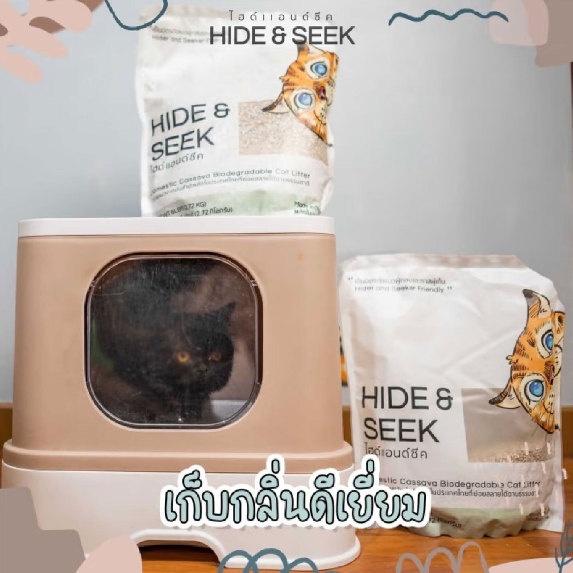 Biodegradable cat hot sale litter box