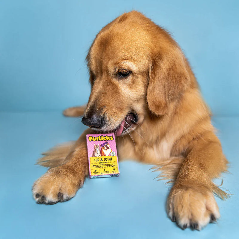 Furlicks Hip & Joint Peanut Butter Pet Oral Food Supplement - 45g (30 Strips) - Heads Up For Tails