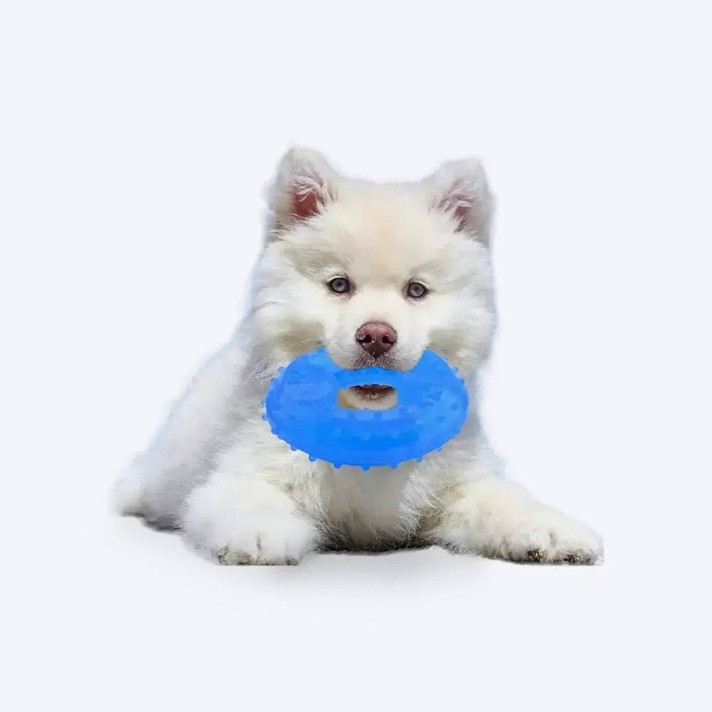 Holy Paws Cool Ring With Treat Dispenser Chilled Chew Toy For Dog - Blue - Heads Up For Tails
