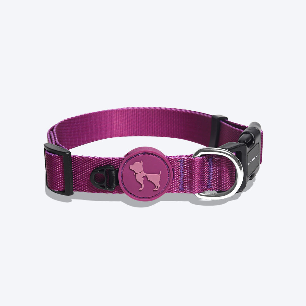 HUFT Personalised Classic Dog Collar - Purple_03