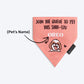 HUFT Personalised Join The Queue To Pet This Shih-Tzu (Pet's Name) Bandana - Heads Up For Tails