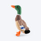 FOFOS Wild Duck Squeaky Plush Dog Toy - Multicolor_01