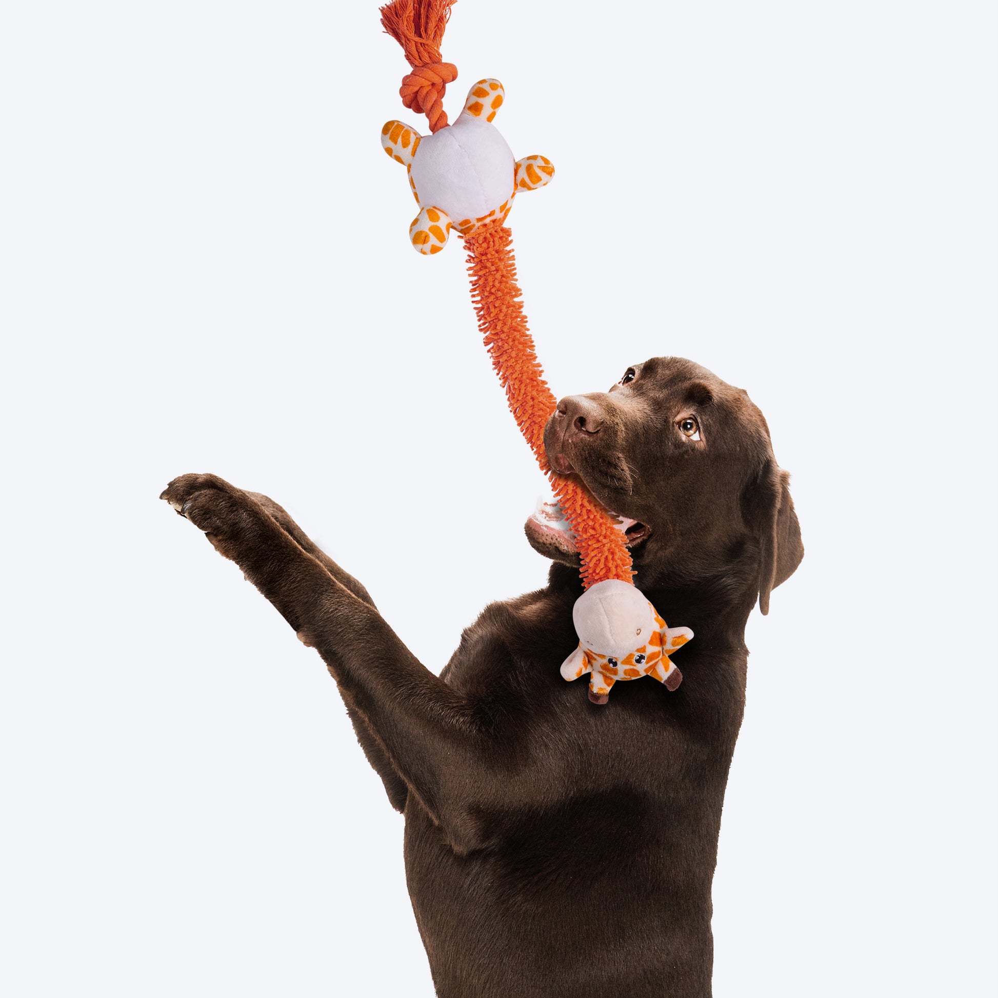 Barkbutler Garry The Giraffe Squeaky Plush Dog Toy - Orange - Heads Up For Tails