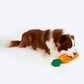 FOFOS Cute Carrot Treat Dispensing & Squeaky Chew Toy For Dog - Orange - Heads Up For Tails