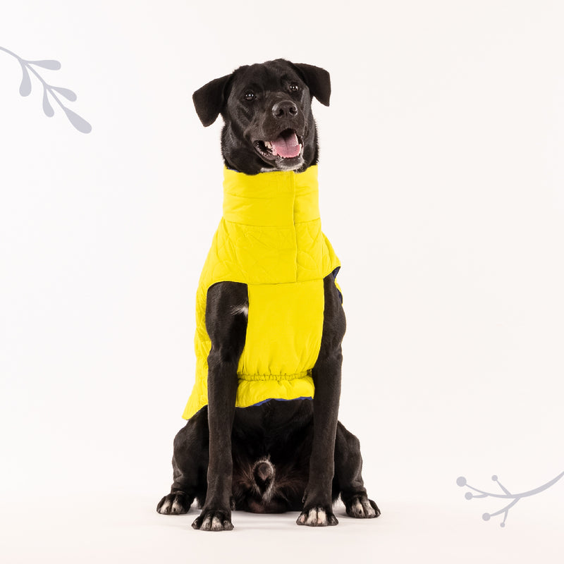 HUFT Cosy Pupper Reversible Dog Jacket - Lime Green - Heads Up For Tails