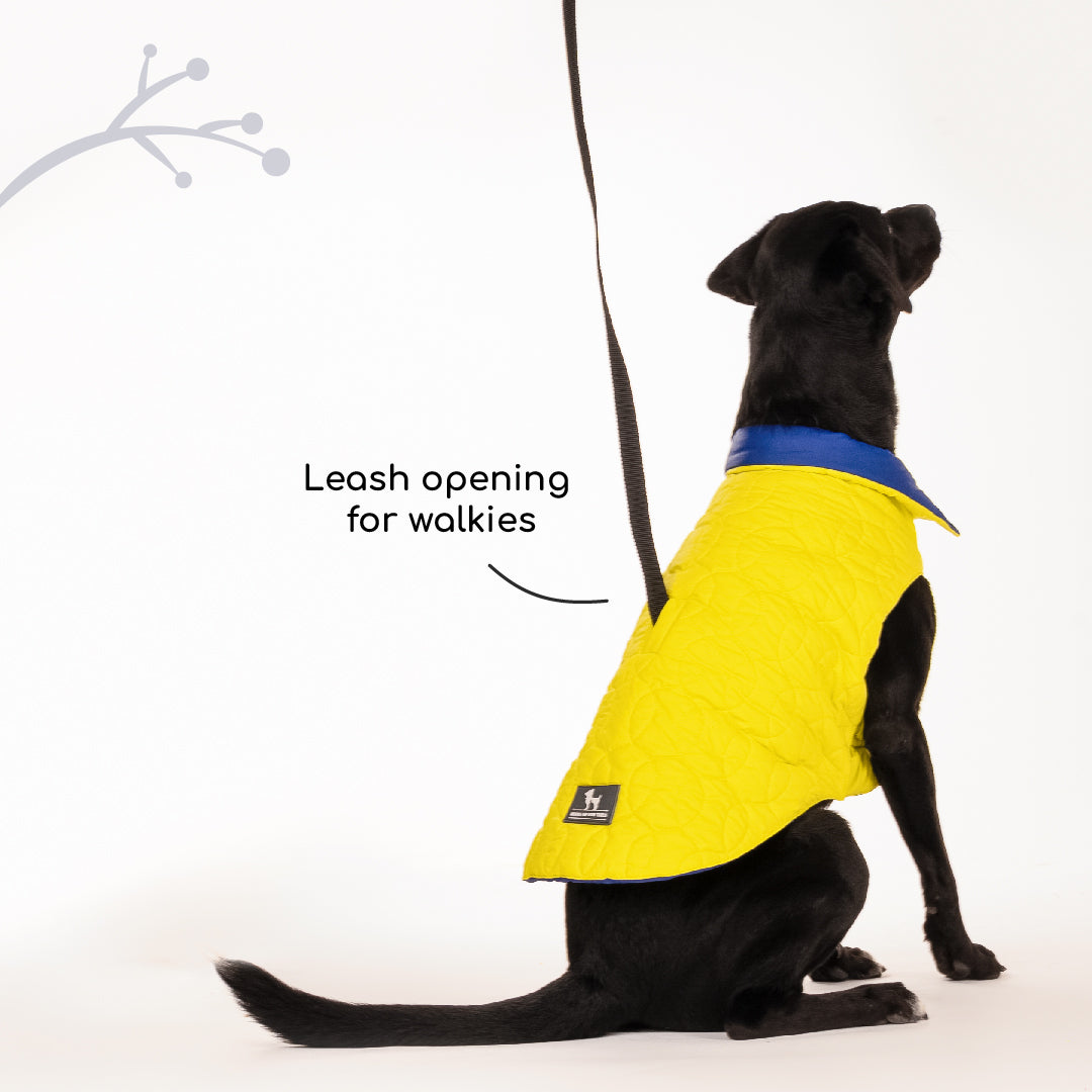 HUFT Cosy Pupper Reversible Dog Jacket - Lime Green - Heads Up For Tails