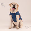 HUFT Grrberry Quilted Dog Jacket - Teal Blue - Heads Up For Tails