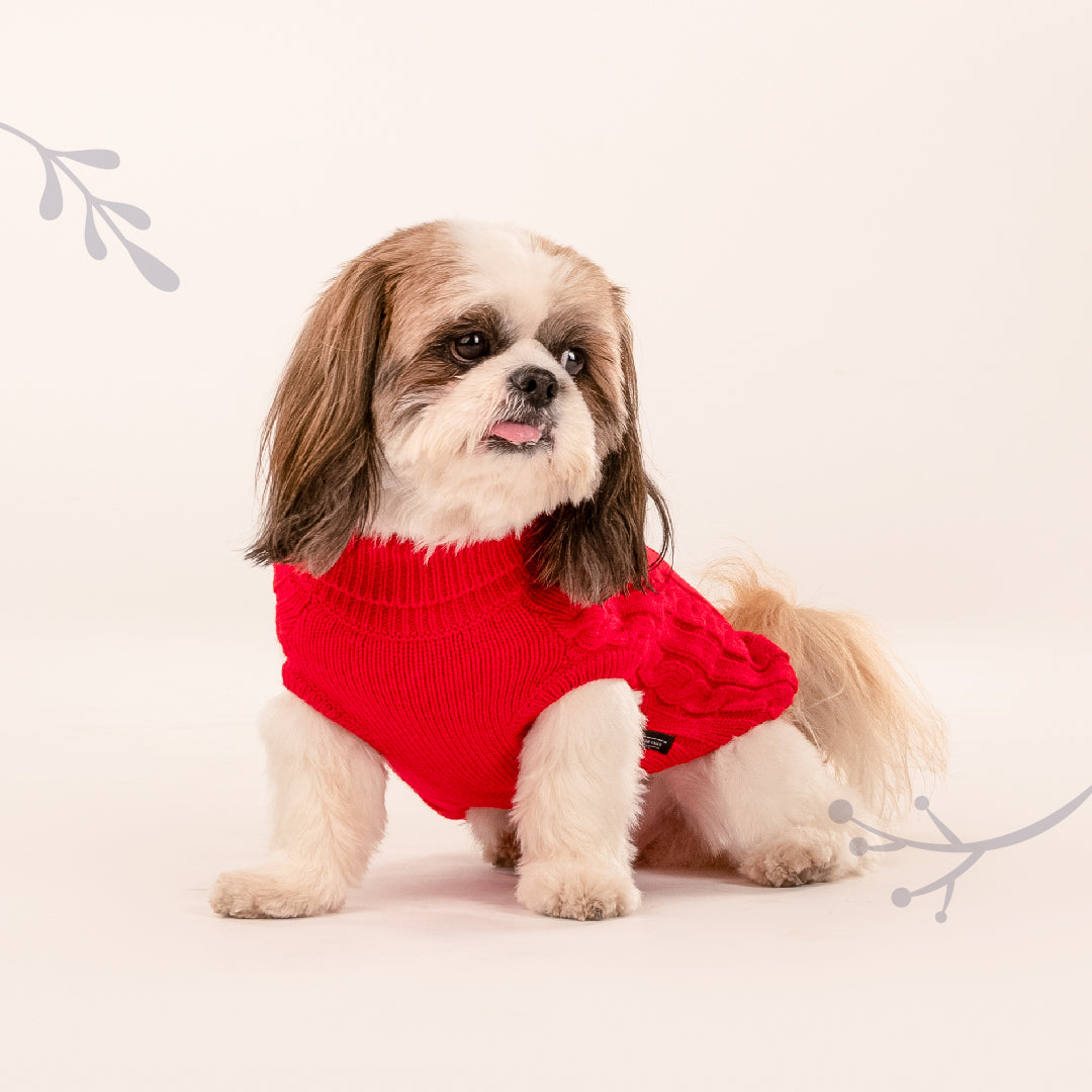 HUFT Cable Knit Sweater For Dog - Red - Heads Up For Tails