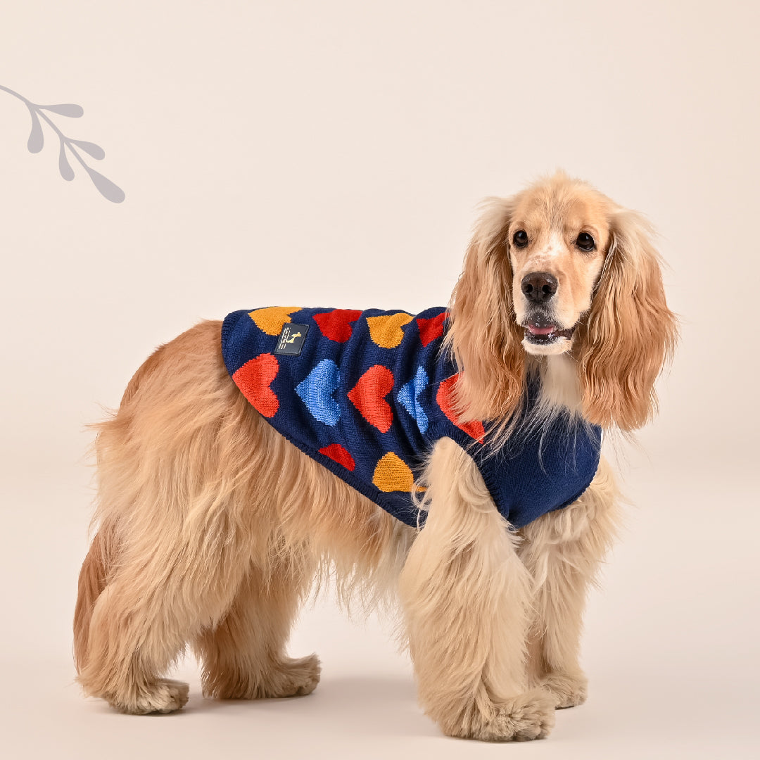 HUFT Snowy Sweethearts Sweater For Dogs - Multicolour - Heads Up For Tails