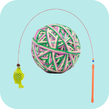 Interactive  Toys