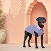 HUFT Jaipuri Phool Block-Printed Jacket For Dog - Blue & Pink