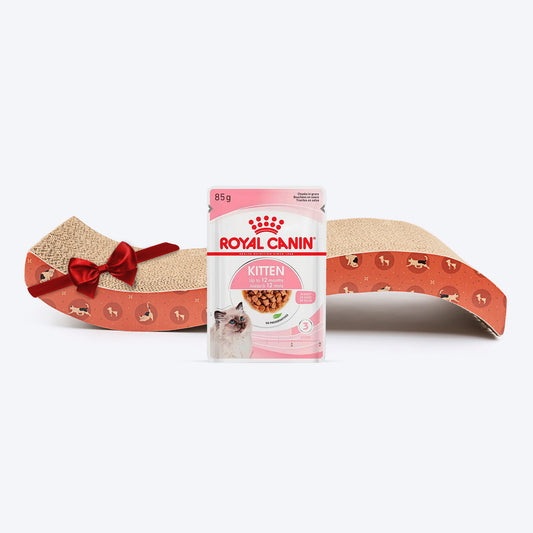 Royal Canin Wet Food & HUFT ScratchVille Scratcher Play Combo : Kitten Joy - (48 x 85g)