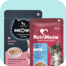 Kitten Food