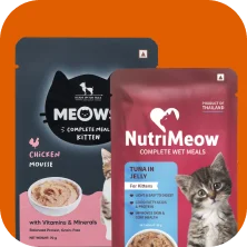 Kitten Food