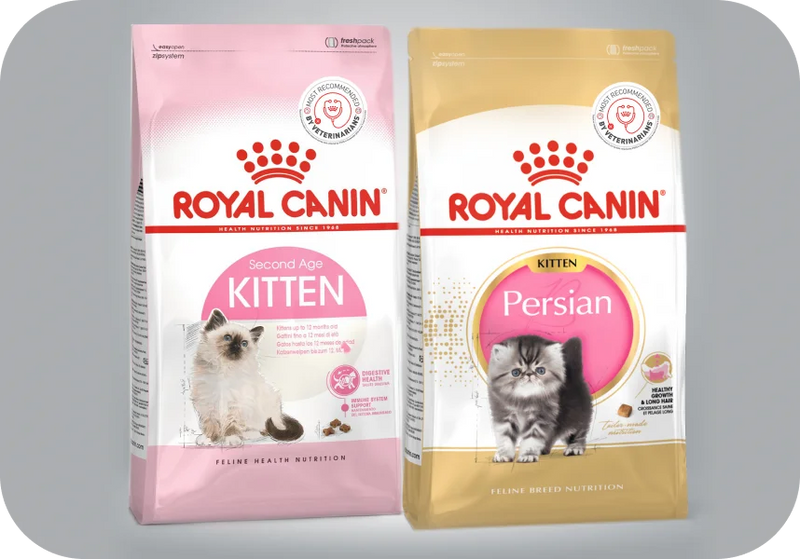 Kitten Food