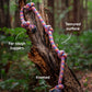 Dash Dog Knotty By Nature Rope Toy For Dog - Pink