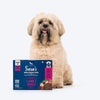 Sara's Wholesome Grain-Free Lamb and Apple Dog Food, pack of 10 x 100g, made with human-grade ingredients.