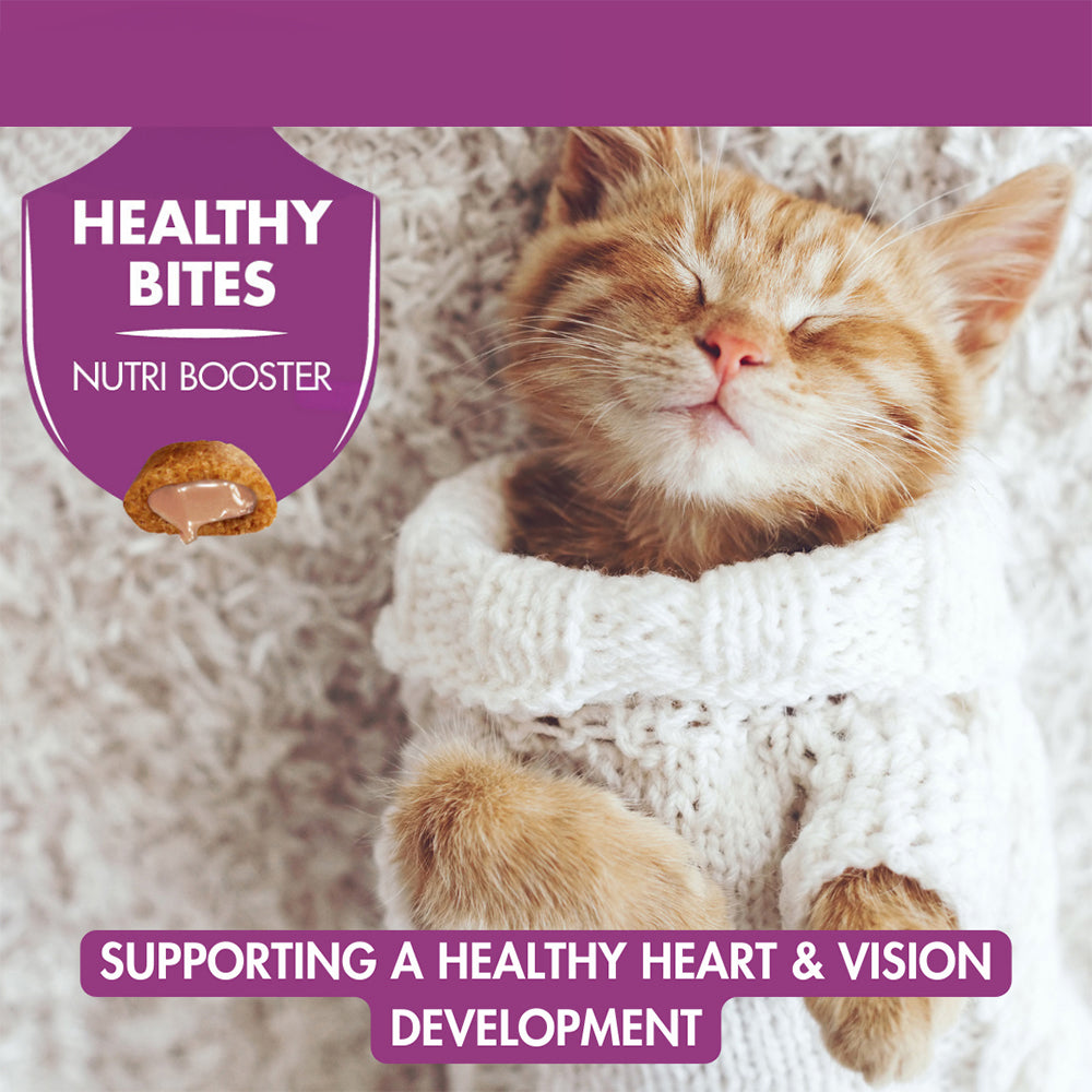 Mark & Chappell Healthy Bites Nutri Booster With Real Salmon Kitten Treats - 65 gm