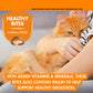 Mark & Chappell Healthy Bites Hairball Remedy Cat & Kitten Treats - 65 gm