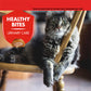 Mark & Chappell Healthy Bites Urinary Care With Cheese & Catnip Treat For Cats & Kittens - 65 gm