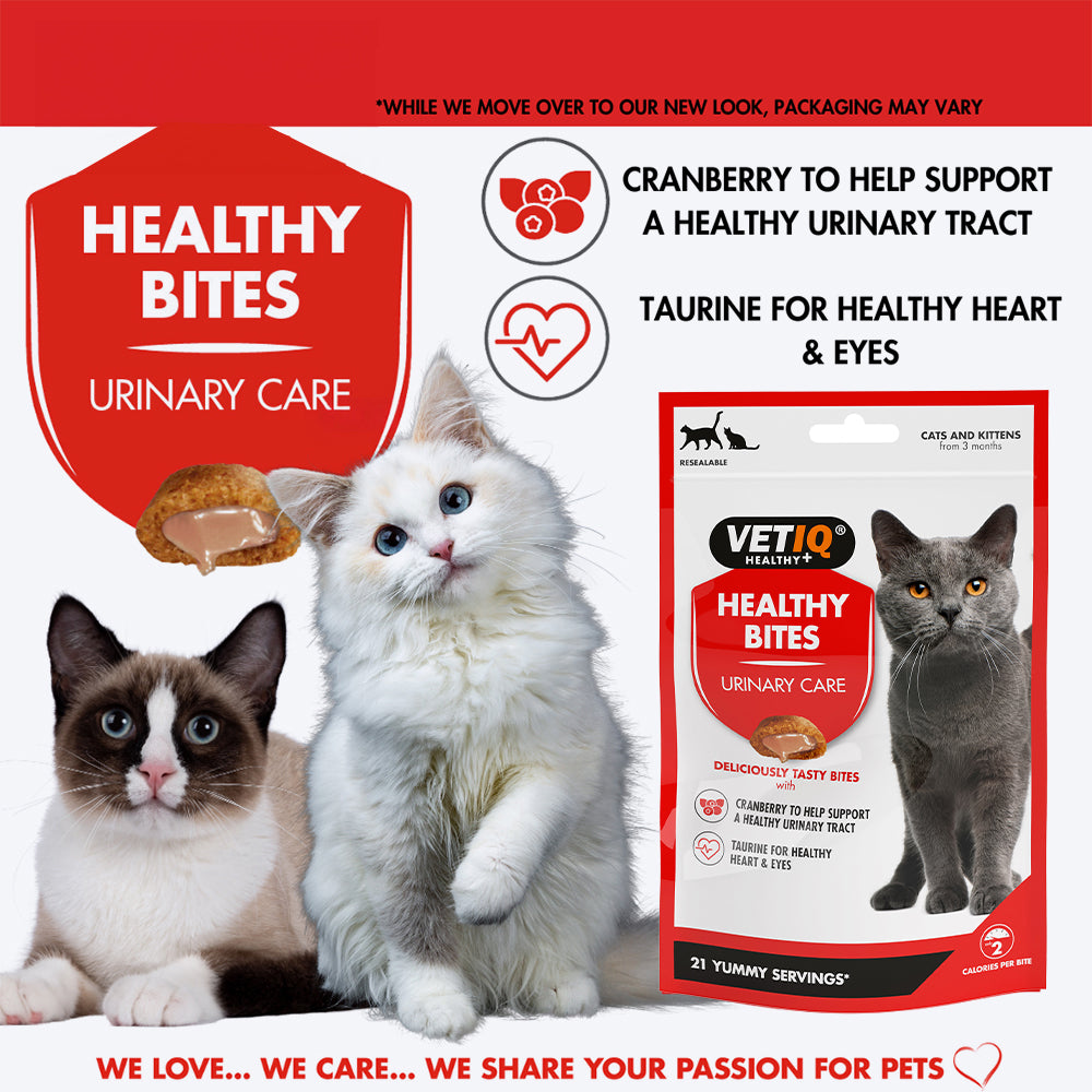 Mark & Chappell Healthy Bites Urinary Care With Cheese & Catnip Treat For Cats & Kittens - 65 gm