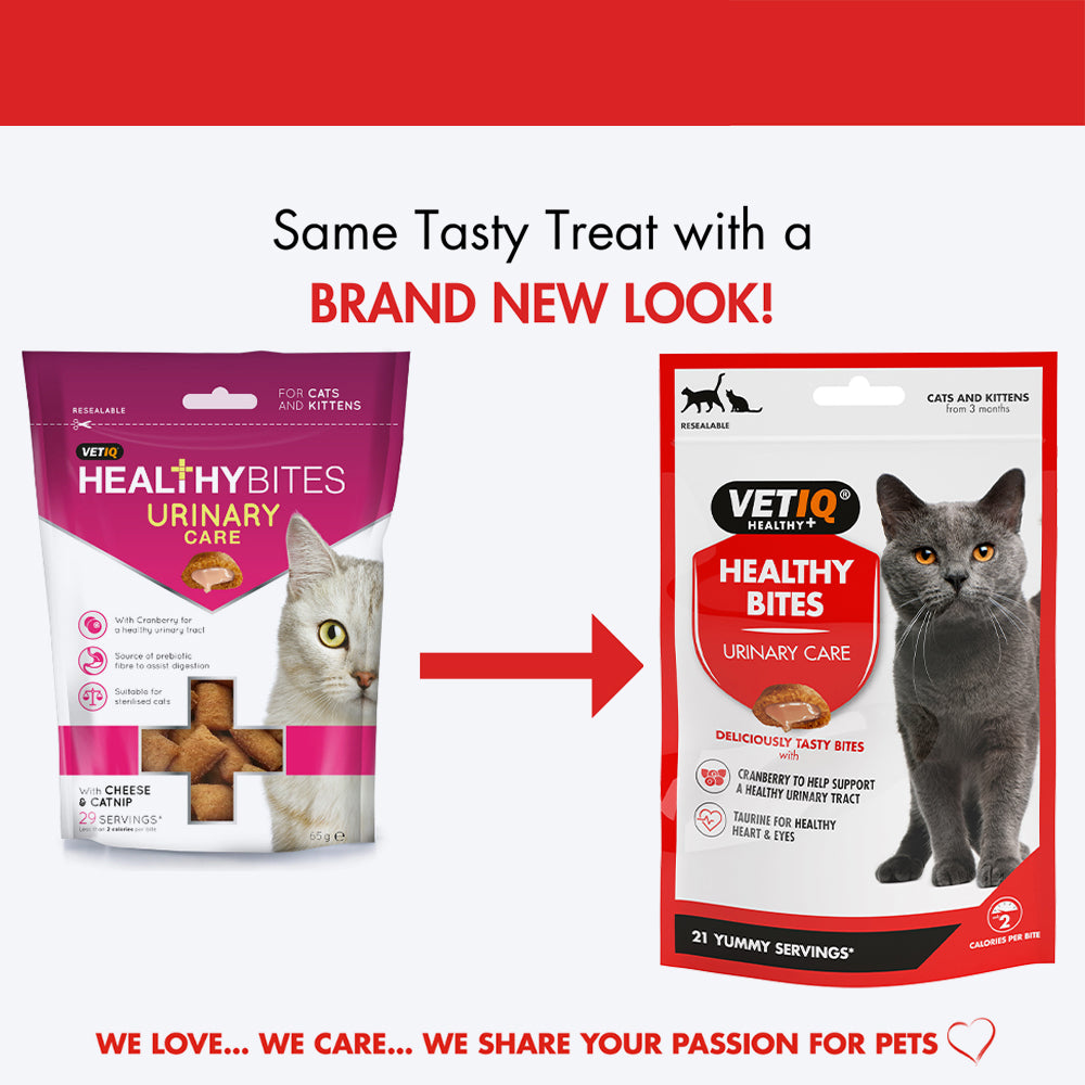 Mark & Chappell Healthy Bites Urinary Care With Cheese & Catnip Treat For Cats & Kittens - 65 gm