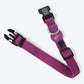 HUFT Personalised Classic Dog Collar - Purple_07