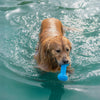 Dash Dog Softy Spiker Toy For Dog - Blue - Heads Up For Tails